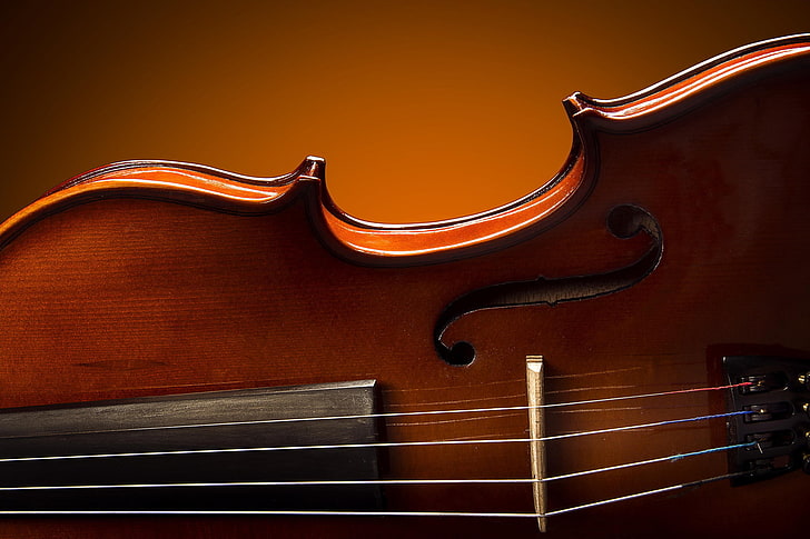violino marrom, macro, violino, brilho, laca, violino real, HD papel de parede