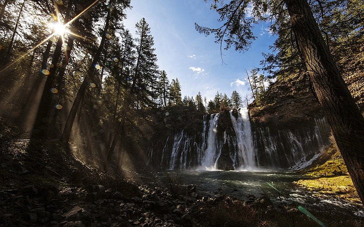 Wasser fällt auf Wald, Natur, Wasserfall, Fluss, Bäume, HD-Hintergrundbild
