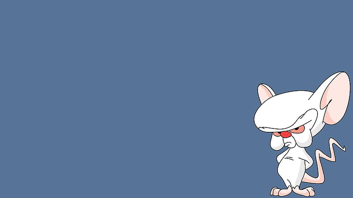 pinky and the brain, HD wallpaper