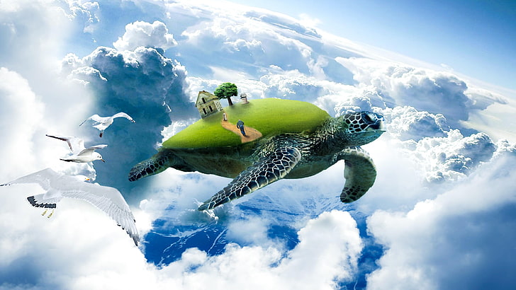 turtle, dog, seagull, sky, clouds, house, tree, fantasy, beauty, turtle in the sky, grass, old man, HD wallpaper