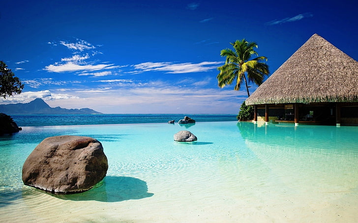 cabaña marrón, playa, mar, rocas, roca, azul, palmeras, tropicales, cielo, edificio, piedras, Fondo de pantalla HD