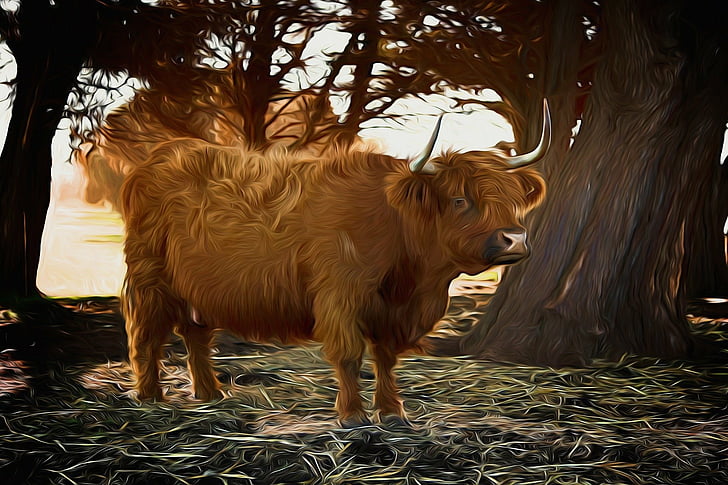 動物 牛 芸術 油絵 絵画 Hdデスクトップの壁紙 Wallpaperbetter