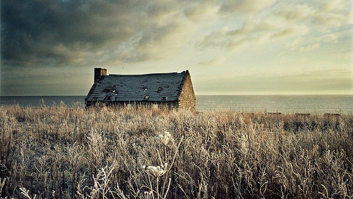 brown wooden shed, landscape, house, ruin, coast, field, frost, winter, building, abandoned, sea, clouds, nature, HD wallpaper