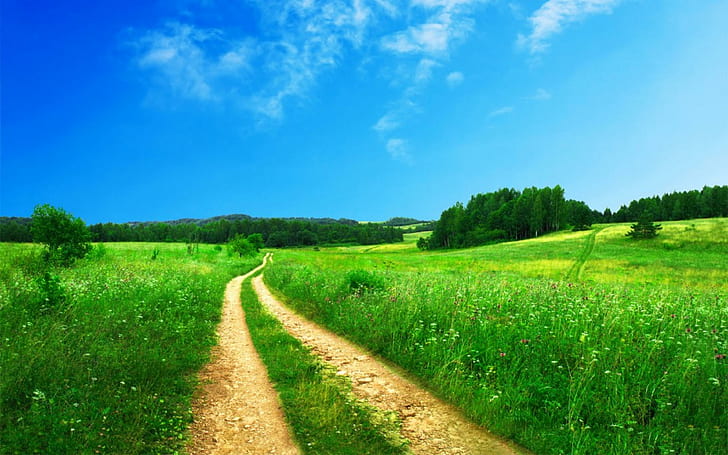 طبيعة حقل طريق ريفي مع خلفية خضراء سماء زرقاء صيفية للمناظر الطبيعية عالية الدقة 3840 × 2400، خلفية HD