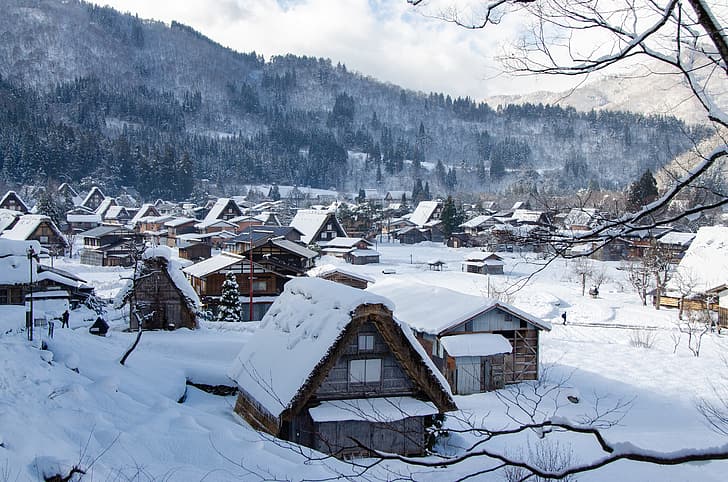 winter, snow, mountains, branches, hills, village, home, Japan, forest, Shirakawa-go, HD wallpaper