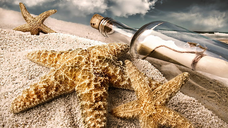 песок, бутылки, морская звезда, пляж, HD обои