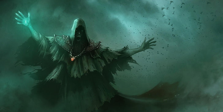 animated character illustration, undead, tatters, birds, darkness, gloom, HD wallpaper