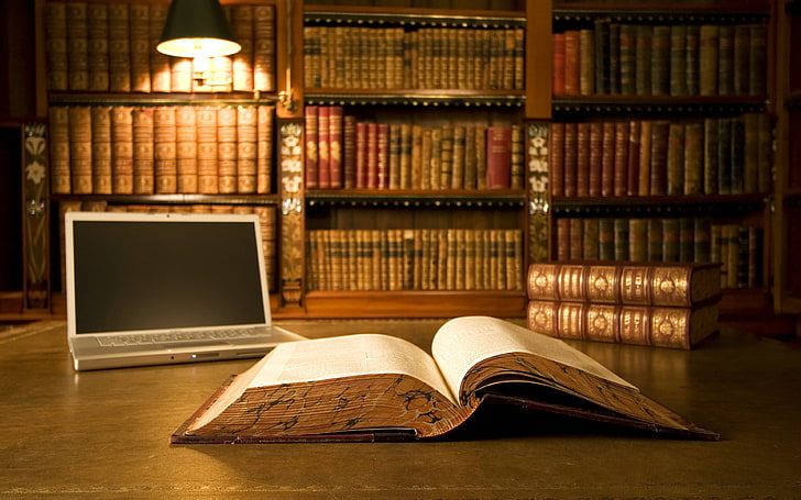estrado de madeira marrom com colchão branco, biblioteca, livros, laptop, mesa, HD papel de parede