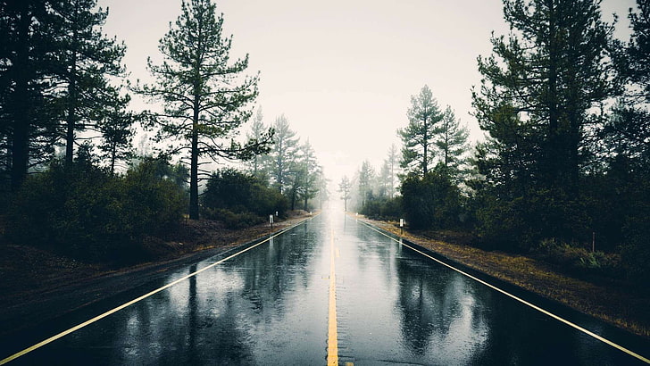 overcast, rain, road, HD wallpaper