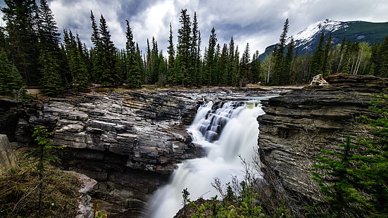 chutes d'eau avec des arbres verts, nature, paysage, cascade, rivière, arbres, forêt, Fond d'écran HD HD wallpaper