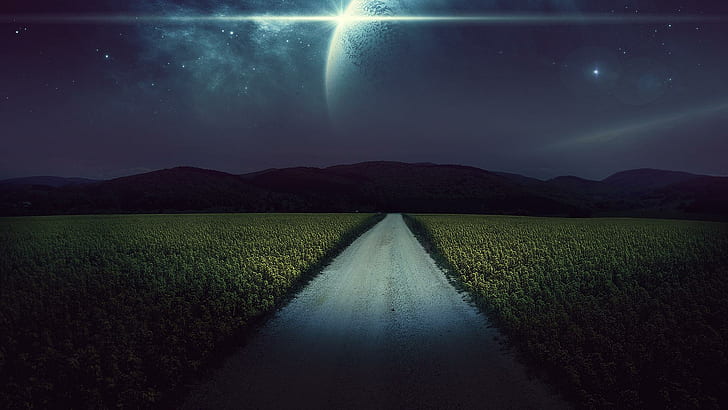 Night Fantasy Road, gray narrow road with grass land on side during day time, road, night, fantasy, nature and landscapes, HD wallpaper