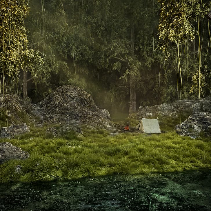 дигитално изкуство, CGI, гора, трева, пейзаж, палатка, слънчева светлина, дървета, отражение, конкретно, дълбока гора, скали, OctaneRender, Cinema 4D, HD тапет