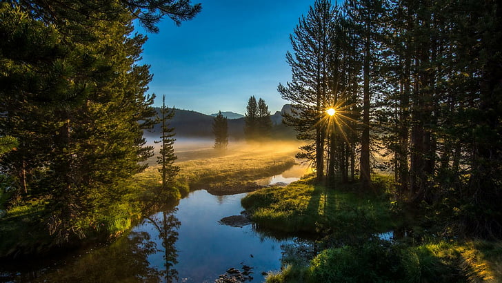 Unten, Sonnenaufgang, Wald, Fluss, Morgen, Bach, Nebel, neblig, HD-Hintergrundbild