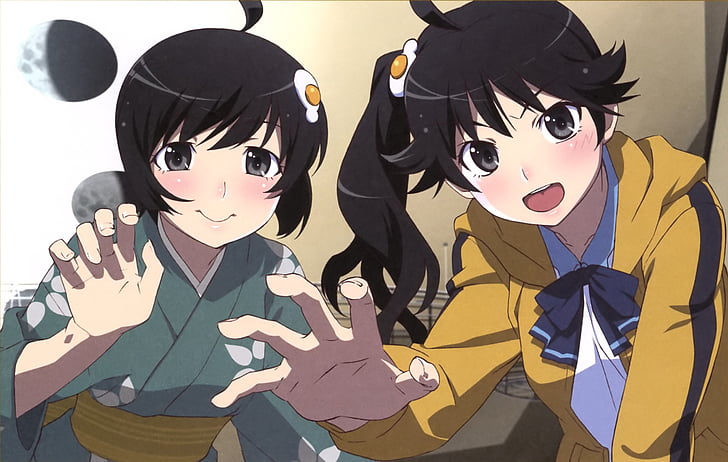 Anime, Monogatari (Series), Karen Araragi, Tsukihi Araragi, HD wallpaper