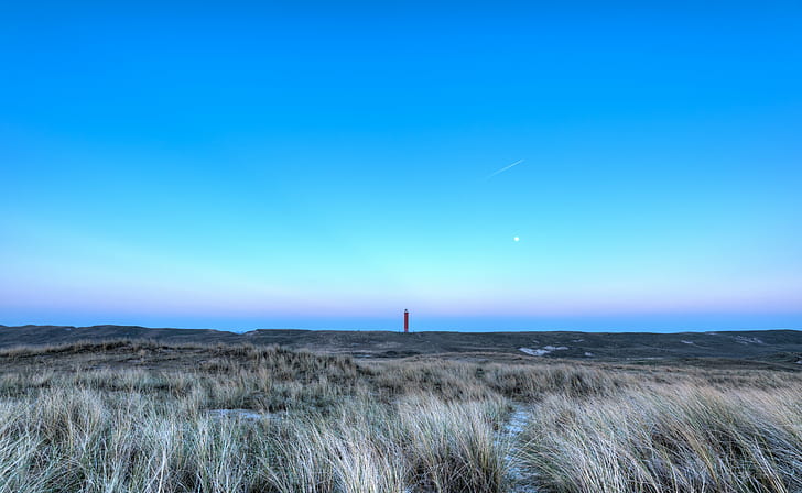dried leaves under clear sky, brave, red, crayon, big blue sky, dried, leaves, 35mm, D750, Grote, Kaap, HDR, Julianadorp, Nederland, Nikkor, Nikon, Noord-Holland, Netherlands, clear skies, dunes, golden hour, landscape, lighthouse, lucht, maritime, scenery, serene, shipping, sunset, zon, nature, sky, turbine, generator, blue, HD wallpaper