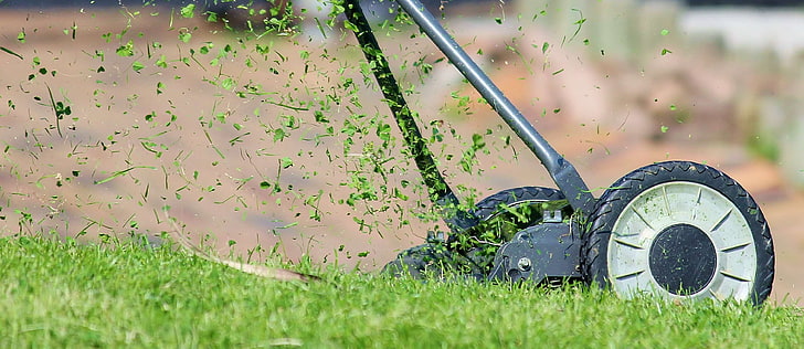 blade, blade of grass, cut, fly, grass, grass box, green, halme, hand lawn mower, juicy, knife, lawn mower, lawn mowing, manual operation, meadow, mow, nature, rush, sharp, technology, HD wallpaper