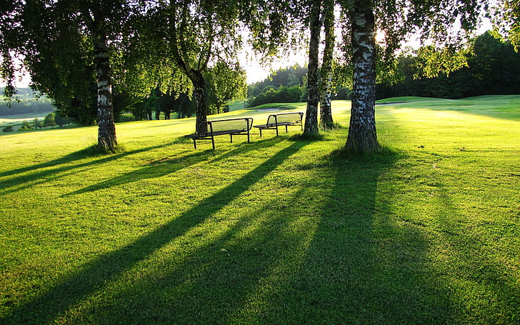 Grüner Park, Bäume, Landschaft, sonnig, Tag, Hügel, Frühling, HD-Hintergrundbild