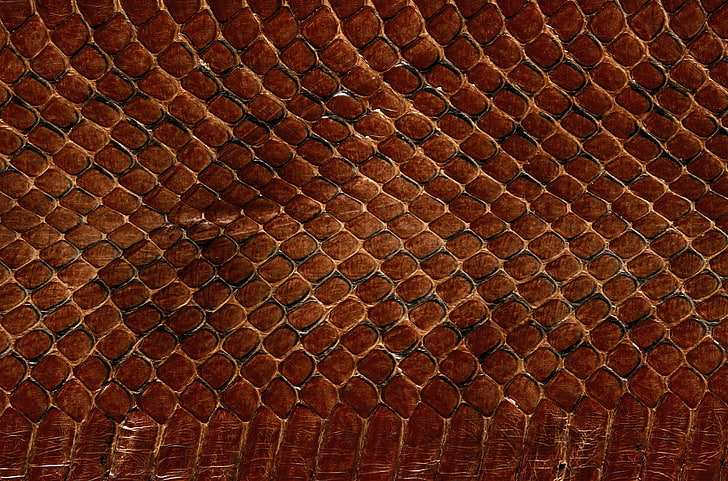 brown snakeskin print illustration, texture, leather, animal texture, background desktop, the scales of a snake, HD wallpaper