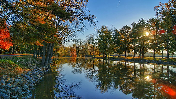 reflection, water, sunlight, nature, tree, autumn, sky, lakeside, plant, pond, lake, bank, park, HD wallpaper