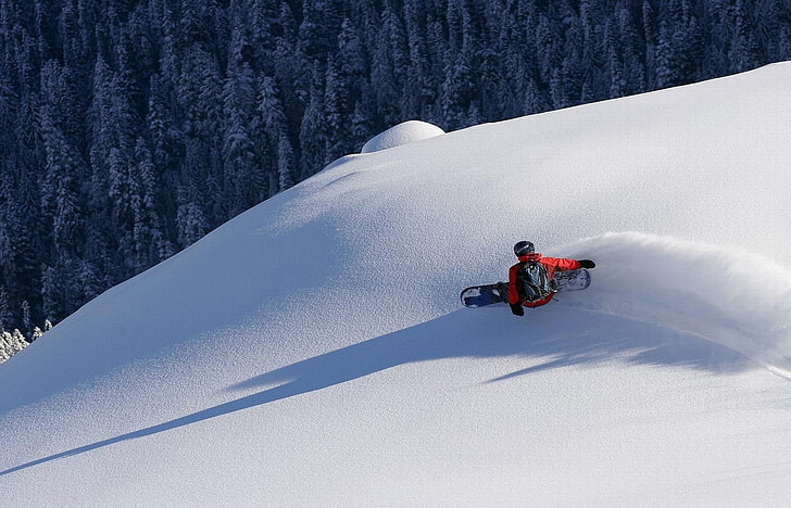человек на снегу катается на сноуборде возле сосен, снег, сноуборд, деревья, пейзаж, спорт, зима, HD обои