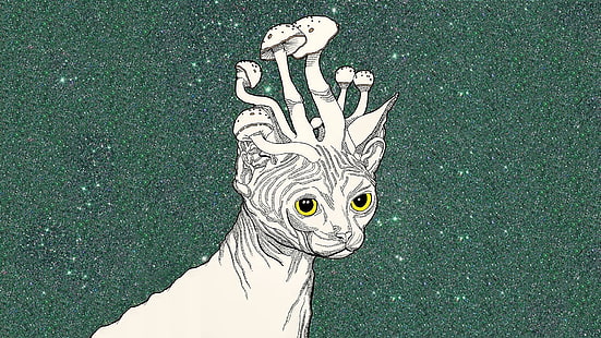 иллюстрация животных, трип-стоунер, кот, грибы, арт, HD обои HD wallpaper