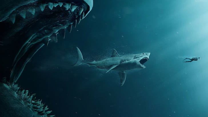 The Meg Sharks And Diver Poster, HD wallpaper