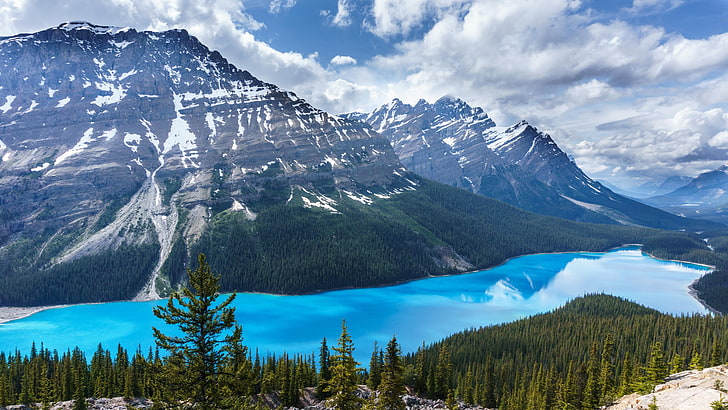 青と白の抽象絵画、湖、山、木、空、カナダ、ペイト湖、バンフ国立公園、青、 HDデスクトップの壁紙