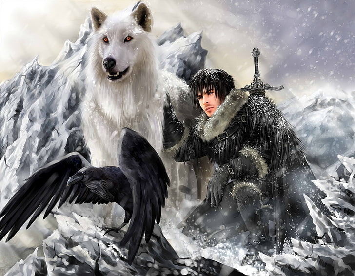 man wearing black coat with sword, crow, and wolf illustration, the song of ice and fire, game of thrones, jon snow, ghost, direwolf, stark clan, HD wallpaper