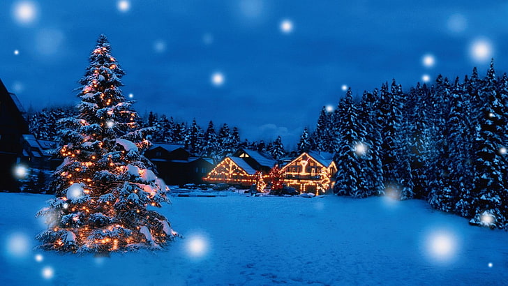 1920x1080 px Presente de Natal bonito feriado alegre Papai Noel árvore de neve inverno Animais Bears HD Art, Inverno, linda, Férias, Natal, Papai Noel, neve, árvore, presente, Feliz, 1920x1080 px, HD papel de parede