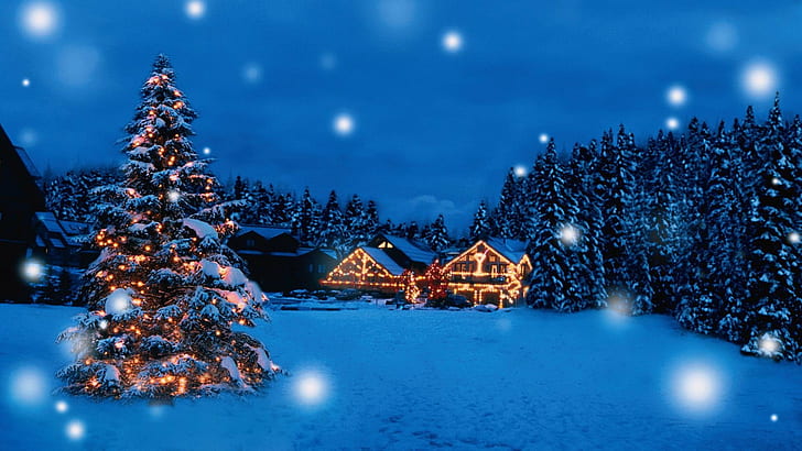 Piękny, świąteczny, prezent, wakacje, wesoły, Mikołaj, śnieg, drzewo, zima, Tapety HD