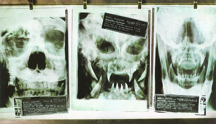 X-Ray sonucu, Uzaylı vs Predator, Predator (film), Uzaylı (film), HD masaüstü duvar kağıdı