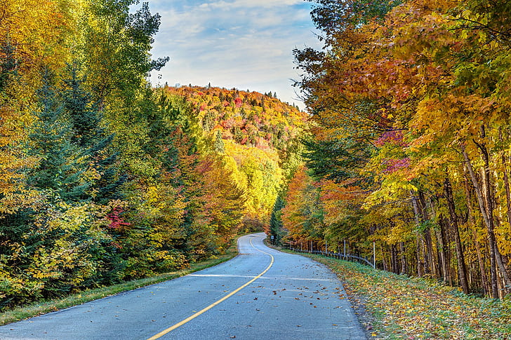 дорога, осень, лес, деревья, канада, квебек, кк, национальный парк ла мориси, национальный парк ла мориси, HD обои