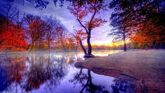 осень, деревья, лес, озеро, отражение, облачно, HD обои HD wallpaper
