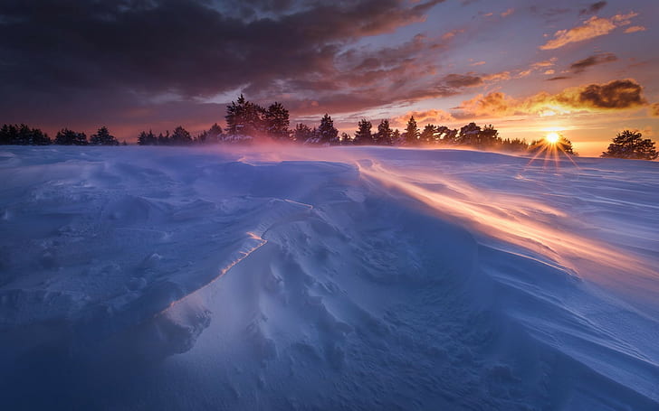 neige, nature, hiver, soleil, froid, paysage, Fond d'écran HD
