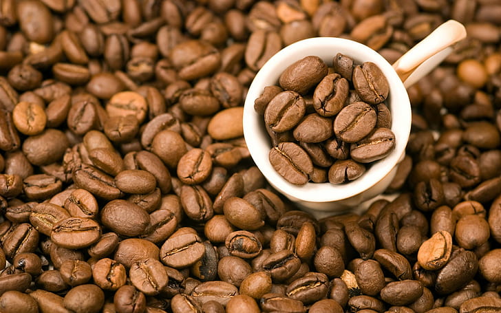 kopi, cangkir, minuman, indah, alam, tanaman, biji, Wallpaper HD