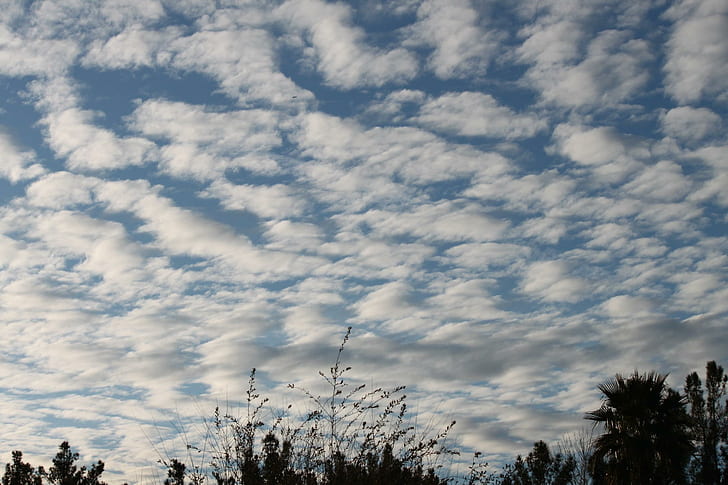 Convenzione della nuvola, alberi, natura, blu, nuvole, 3d ed estratto, Sfondo HD