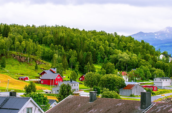 green leafed trees, roof, the sky, grass, clouds, trees, mountains, home, slope, Norway, HD wallpaper