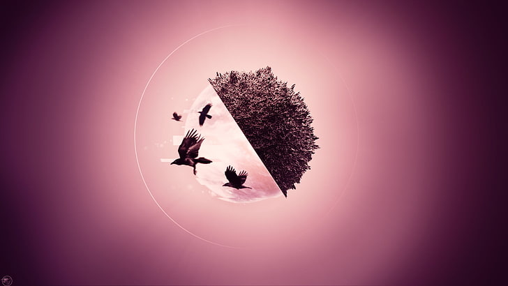 Fotomanipulation von Bäumen und Vögeln, abstrakt, 3D, Vögel, Rabe, digitale Kunst, Grafik, HD-Hintergrundbild