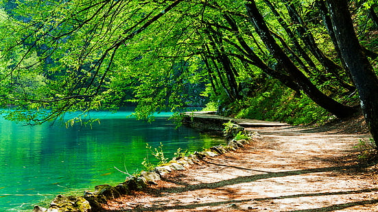 вода, природа, изумрудено зелено, пътека, национален парк, дърво, Хърватия, банка, Европа, гориста местност, горска пътека, гора, езеро, парк, национален парк Плитвички езера, HD тапет HD wallpaper