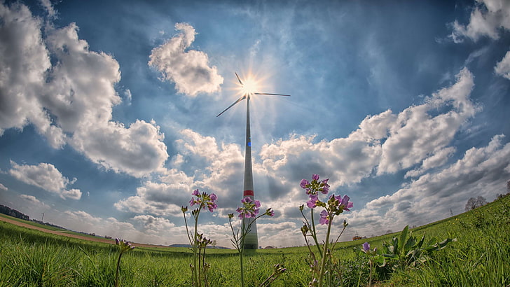 agriculture, alternative, alternative energy, blade, clouds, countryside, ecology, electricity, energy, environment, field, flowers, grass, invention, landscape, outdoors, plants, power, renewable energy, rural, sky, HD wallpaper