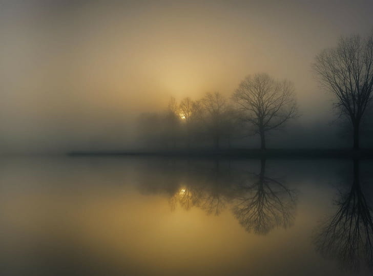 фотография, природа, пейзаж, сутрин, мъгла, дървета, отражение, езеро, слънчева светлина, спокойствие, изгрев, спокойни води, HD тапет