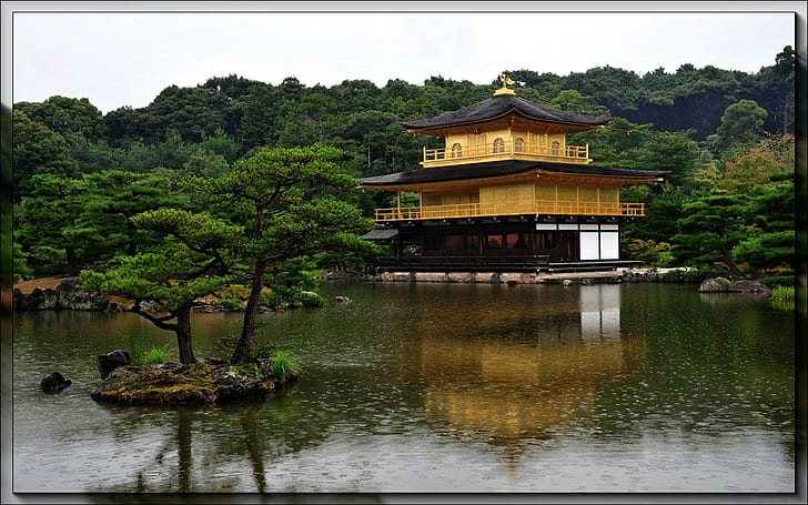 Japan Garden, brown, black and yellow temple, tree, garden, beautiful,  rain, HD wallpaper | Wallpaperbetter