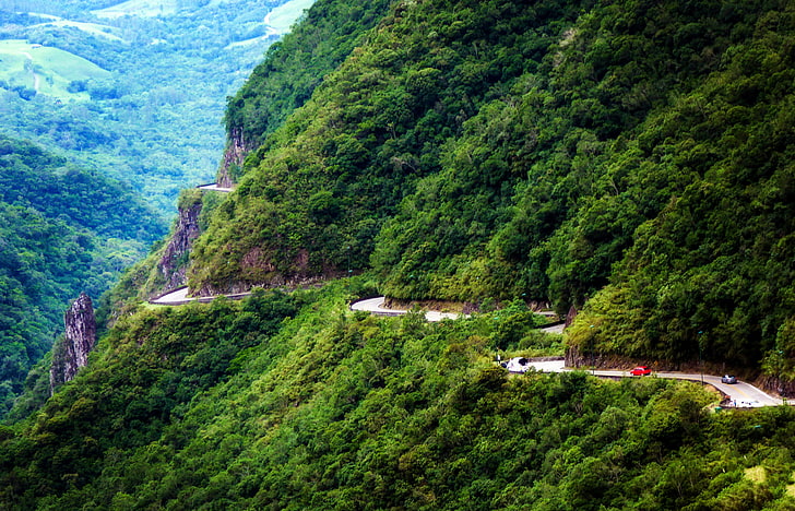 Plantas de hoja verde, carretera, bosque, montañas, rocas, Brasil, Serra do Rio do Rastro, Fondo de pantalla HD
