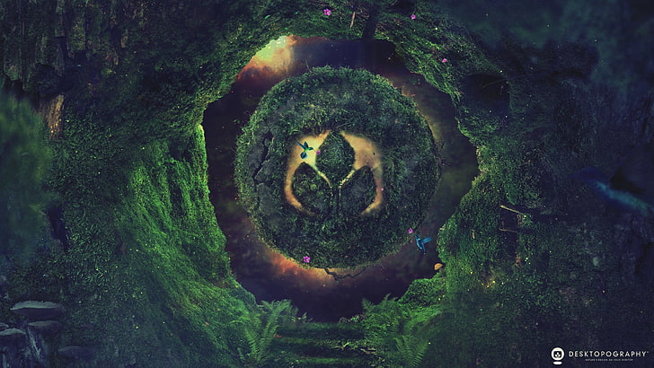 lukisan dedaunan hijau dan coklat, Desktopografi, tumbuhan bawah, alam, logo, seni digital, Wallpaper HD