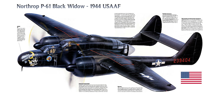 czarno-biały Northrop P-61 Wdowa samolot, myśliwiec, wojna, noc, Northrop, P-61, Czarna Wdowa, 1944, kropka, Drugi świat, 