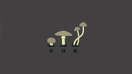 mushroom, minimalism, drugs, HD wallpaper HD wallpaper