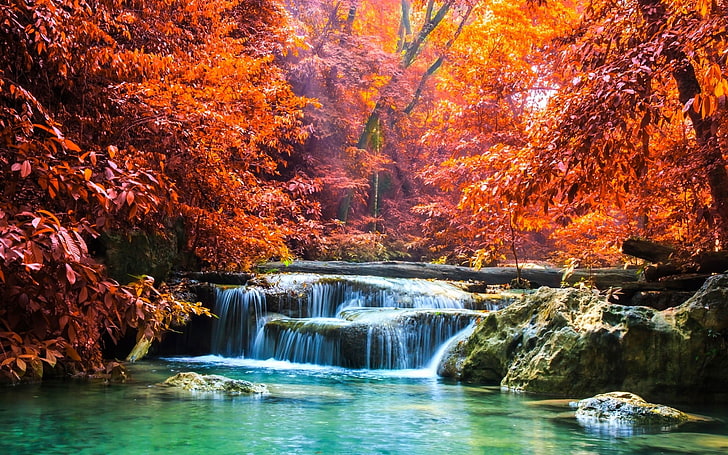 orange Ahornbäume, Natur, Landschaft, Wasserfall, Wald, Fall, Sonnenstrahlen, Bäume, tropisch, Thailand, bunt, Fluss, rot, HD-Hintergrundbild