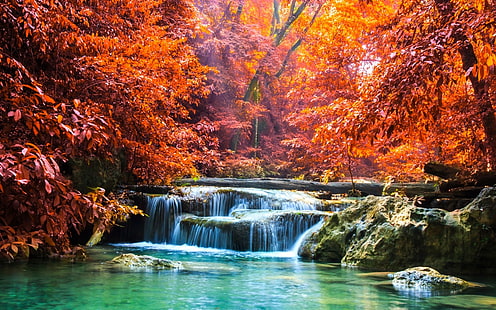orange maple trees, nature, landscape, waterfall, forest, fall, sun rays, trees, tropical, Thailand, colorful, river, red, HD wallpaper HD wallpaper