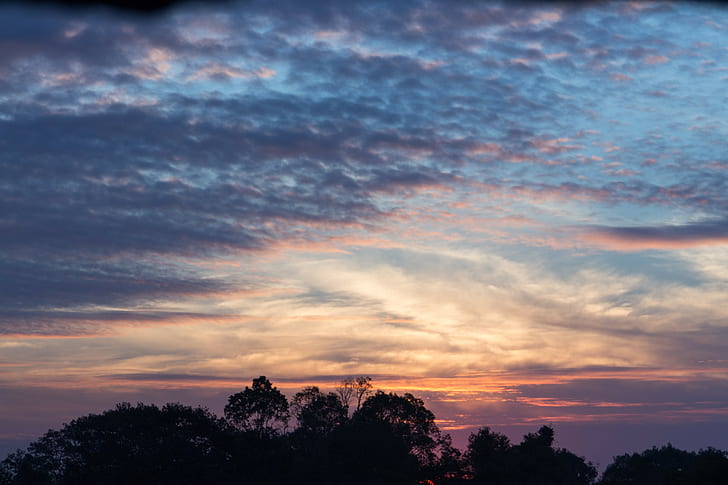 Kamboja, skyscape, siluet, matahari terbenam, langit ungu, Wallpaper HD