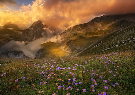 letto di fiori viola con petali, montagne, tramonto, nuvole, fiori, valle, primavera, natura, paesaggio, Sfondo HD HD wallpaper